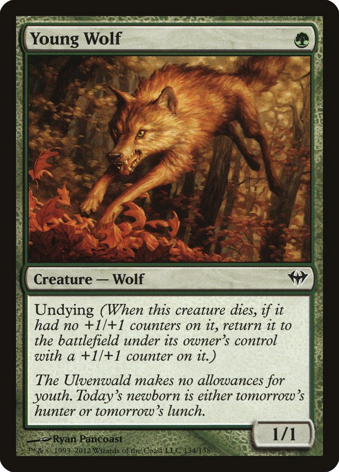 I’ve come to Twitter to make a commander take

They should have put young wolf in the Jund commander it holds -1/-1 counters perfectly. People should learn the joy of young wolf