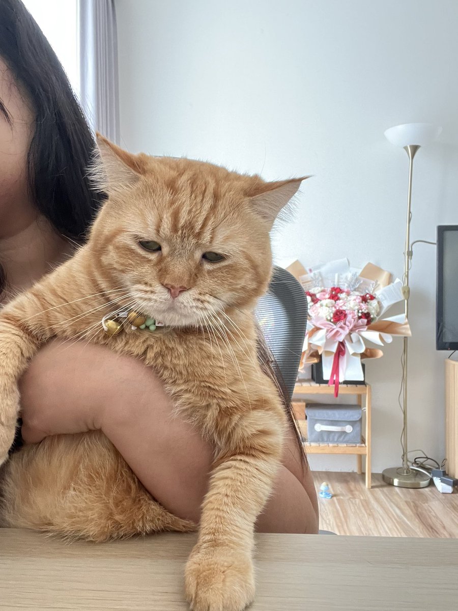 Sama nih, ogah-ogahan disuruh kerja