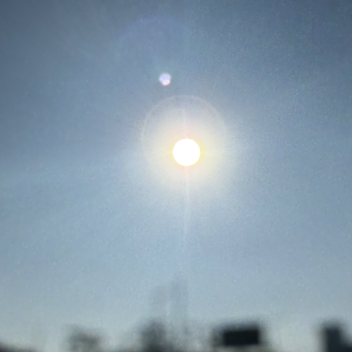 반차 개꿀
이렇게 해 떠있을때 퇴근이라니