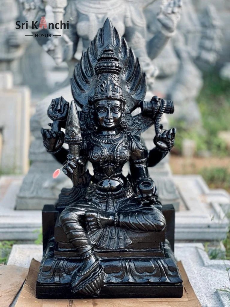 <a href="/GemsOfINDOLOGY/">GemsOfINDOLOGY</a> Tamil Goddess Mariamman is one primary name.

Even before 10th Century AD Chola Period,

These lands were primarily administered by the Tamils. Read Hathigumpha Inscription of Kharavela 2200 years ago, which mentions 1300 years of Tamil Confederate at the Kalinga Port before