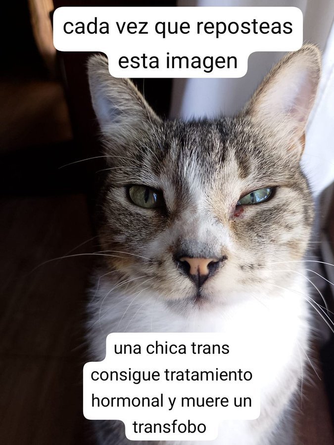 Erivlt's tweet image. 