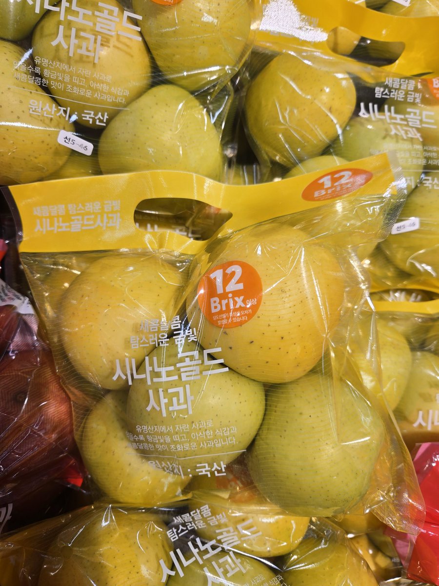 마인크래프트 세계에서 왔나봐