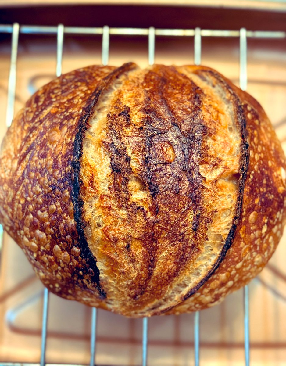 EepinUA's tweet image. Test Bake: Toasted Barley Whole Wheat Boule! 🚀 Newbie (4 months in)—tweaking stiff starter = forgiving magic. Wins:
•  Better spring/crumb
•  Toasty/caramel vibes
•  Adapts to grains/hydration
Blistered crust, chewy crumb. Thoughts? #Sourdough #HomeBaking #breadbaker