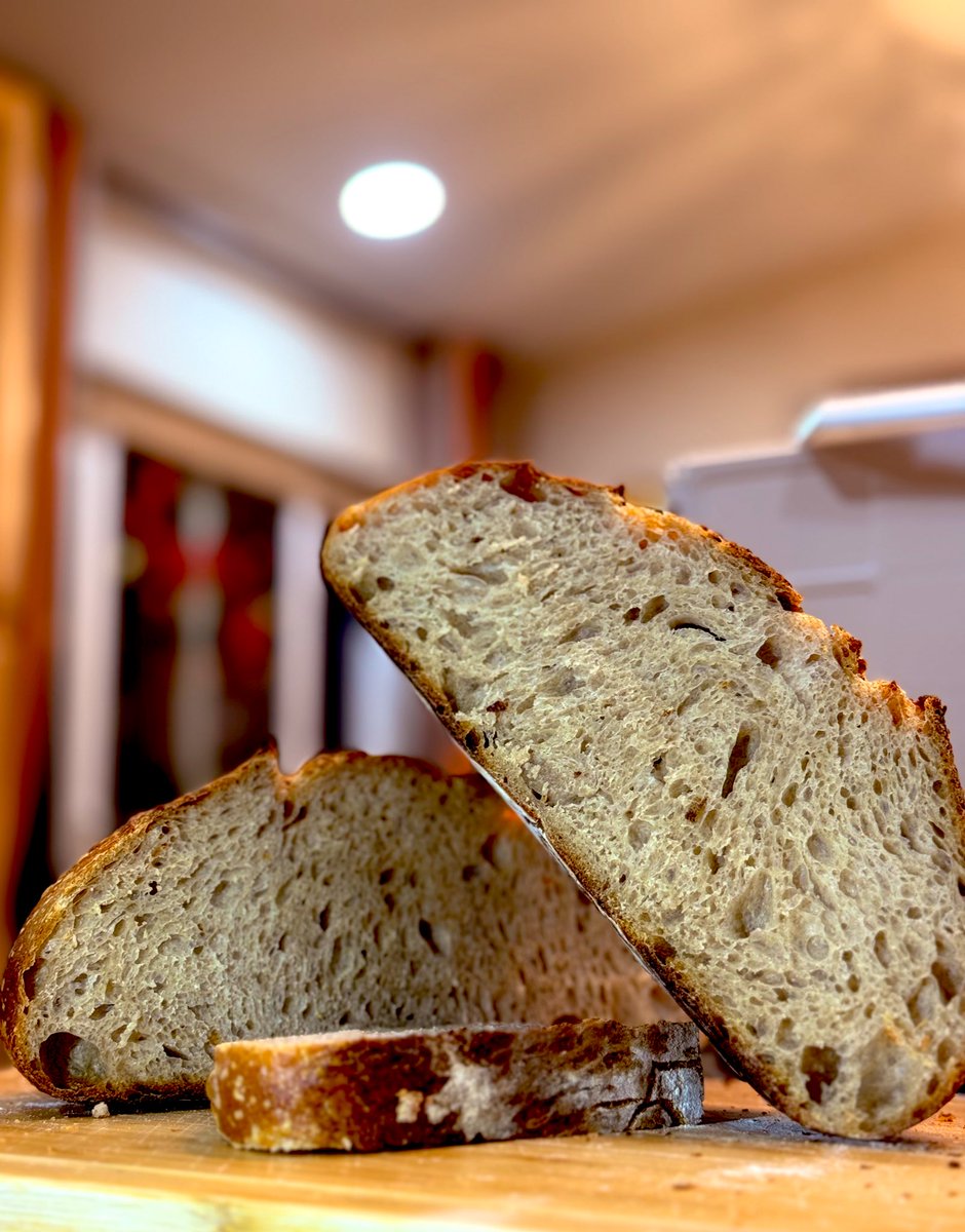 EepinUA's tweet image. Test Bake: Toasted Barley Whole Wheat Boule! 🚀 Newbie (4 months in)—tweaking stiff starter = forgiving magic. Wins:
•  Better spring/crumb
•  Toasty/caramel vibes
•  Adapts to grains/hydration
Blistered crust, chewy crumb. Thoughts? #Sourdough #HomeBaking #breadbaker