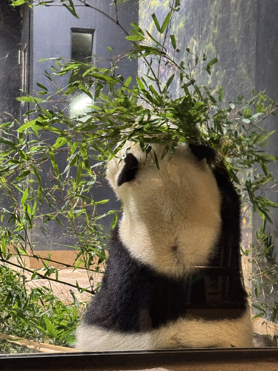 しろくろや (@shirokuro_ya) / Posts / X