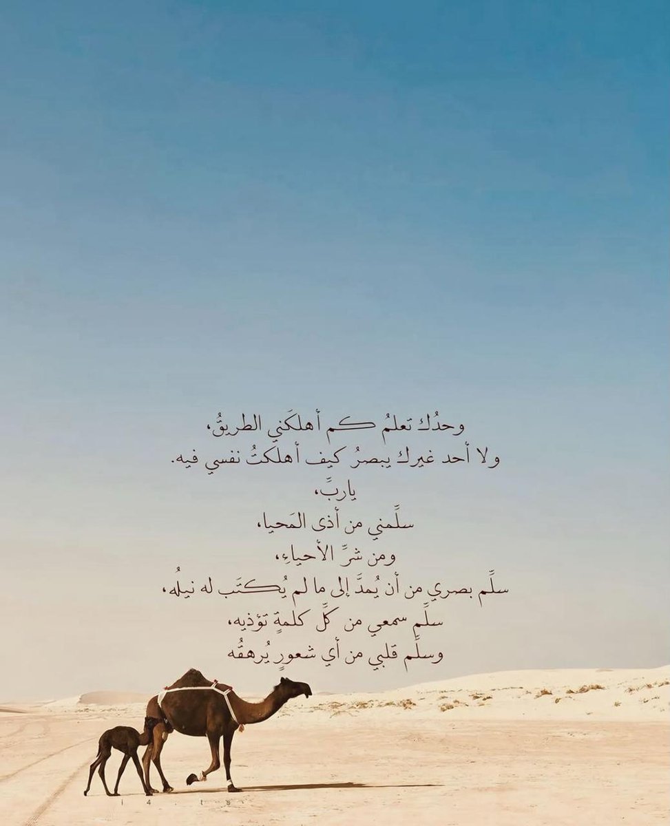 thkkkrr_'s tweet image. 