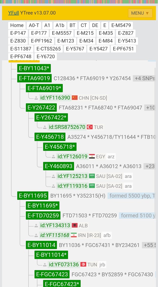 PF6748's tweet photo. 🧬 الفرع اليهودي AB-577 (Y-DNA)
يقع تحت السلالةE-M84 ويُصنَّف ضمن الفروع المزراحية
عيّنةعامةواحدةفقط معروفة تنتهي عند E-BY11043 (أفغانية)
قرائن تاريخية ترجّح ارتباطه بيهودفارس وآسيا الوسطى وطريق الحرير.
فرع نادر… ونافذة جينية على الهجرات الشرقية القديمة.
#AB577 #E_M84 #E_BY11043 https://t.co/hfcOvIea39