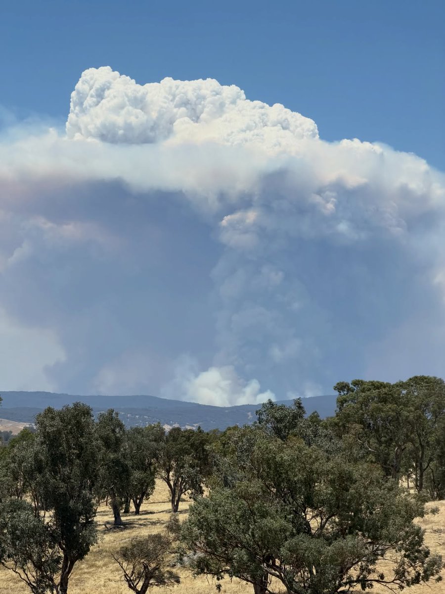 weatherzone's tweet image. A major bushfire in the Mount Lawson State Park near the NSW-Vic border has been seen producing pyrocumulus clouds. 📷 These photos by @satchcogallery show the smoke and pyrocumulus clouds, seen from Holbrook, NSW.

So, how did the #pyrocumulus cloud form?
