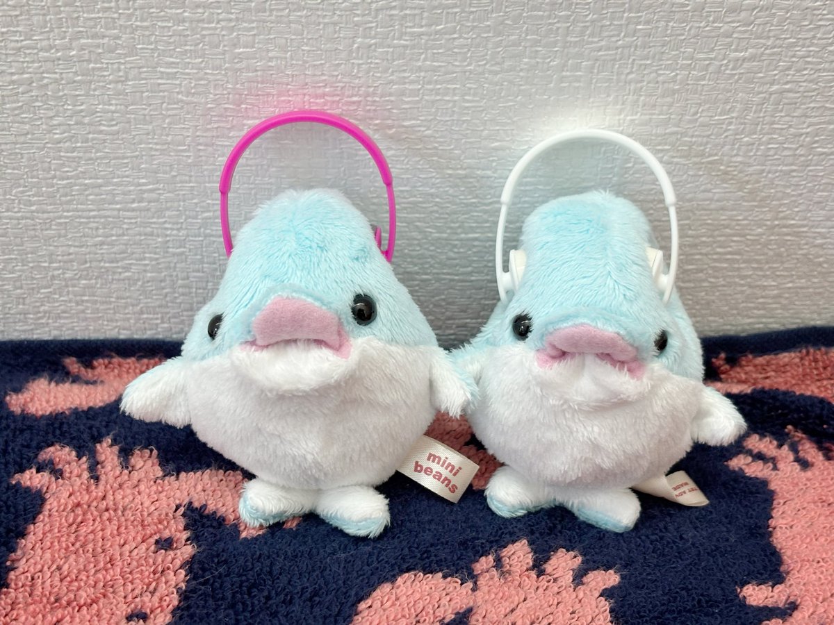 Post by くぅ the あざらし on X: 🌾👽