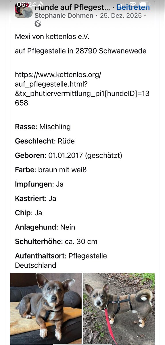 GloreicheSieben's tweet image. 