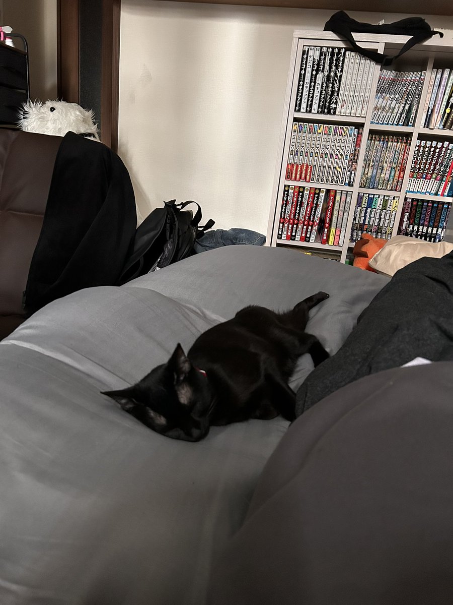 俺が無職になってもこの調子なんだろうなお前