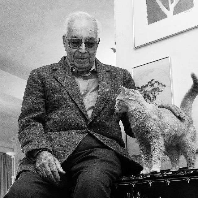 Bu ülkede dört şey olmayacaksın;
kadın, çocuk, ağaç, sokak hayvanı.

~Yaşar Kemal~