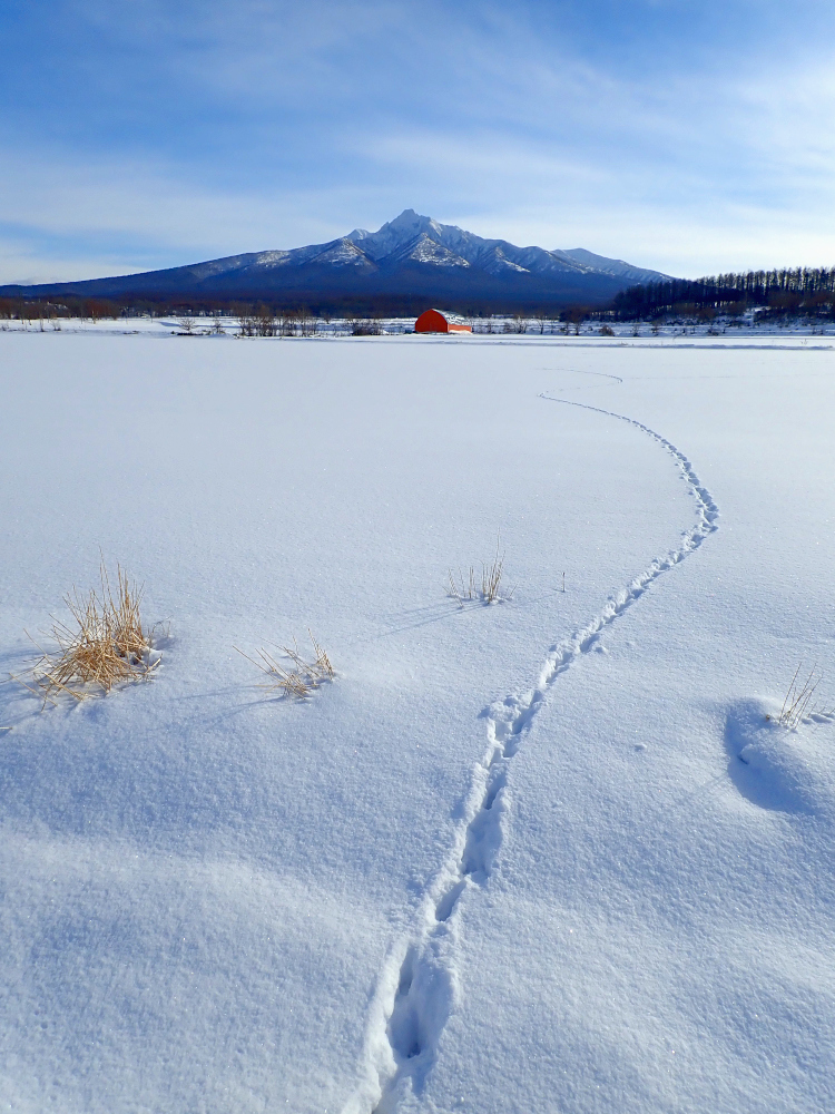 ときに立ちどまり、蛇行したり迷子になってしまっても、その一歩が頂へと続く道になっていく。まだはるか遠いがね、足元は深く季節も厳しいがね。楽しいね、苦しいね。