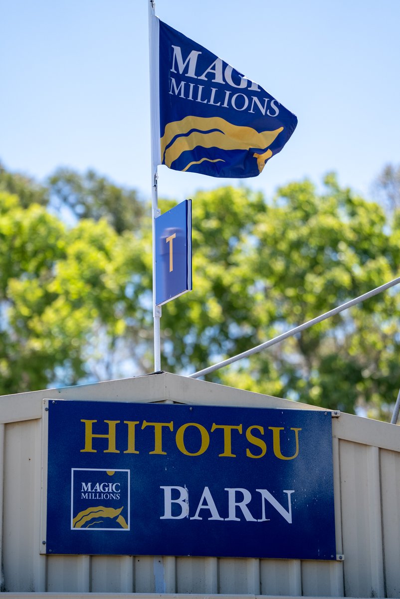 Arrowfield Stud tweet media