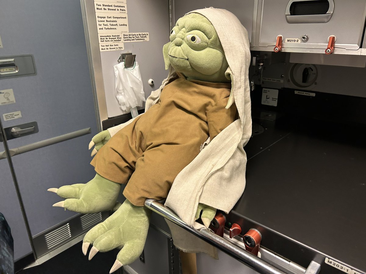 Now Boarding!
All Nippon Airways
NH34  ITM - HND
Boeing 777-281/ER （JA743A）
"Star Wars C3-PO Livery"

最高の光線でたくあんの降りを撮れて無事弾丸伊丹遠征完遂。
勿論旅の〆もたくあんです