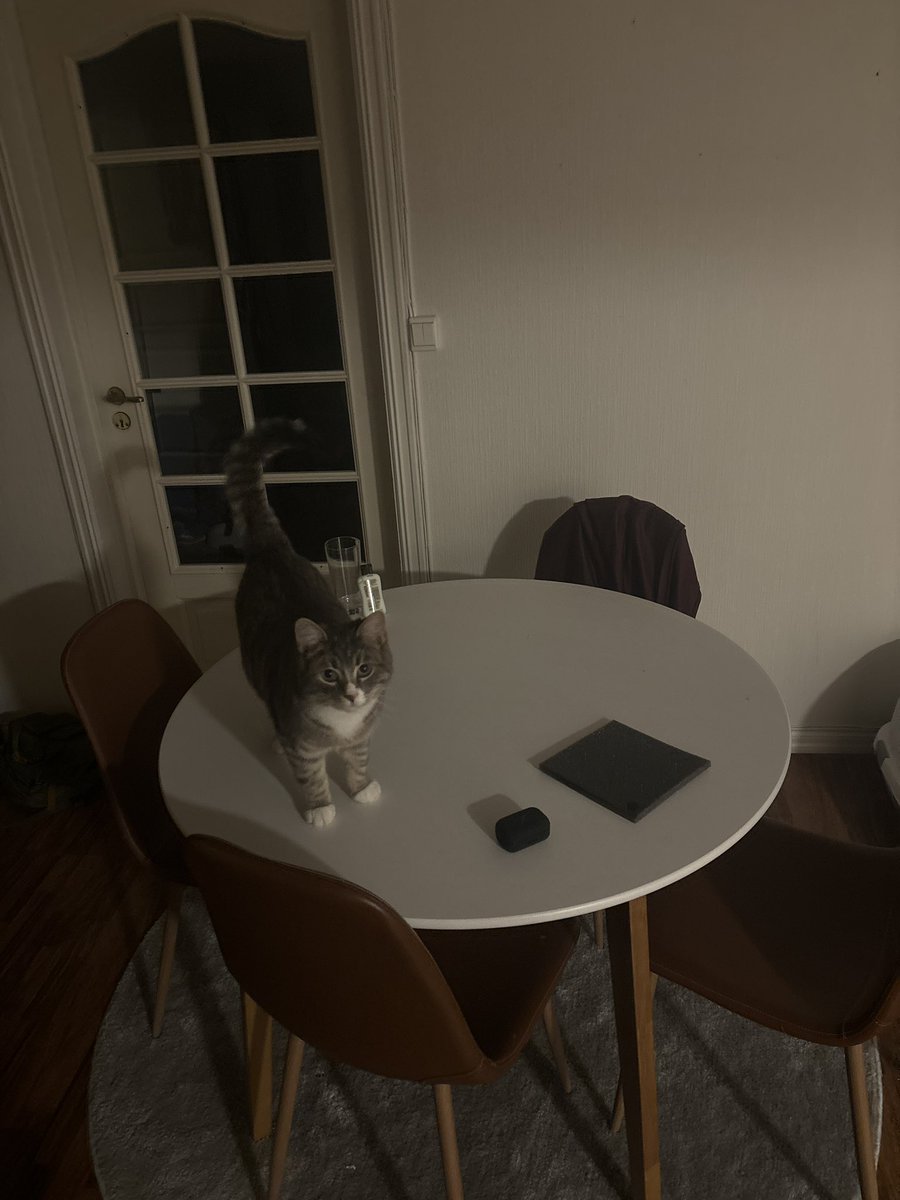 😺