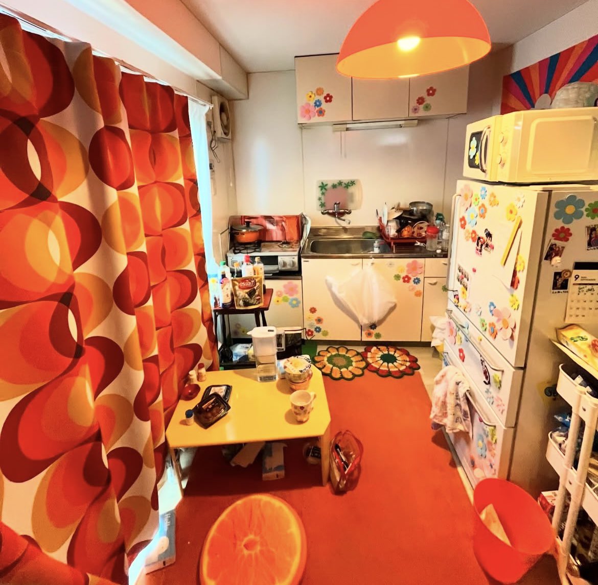 同じ柄のカーテン昔使ってた 下北で買ったんだったかな