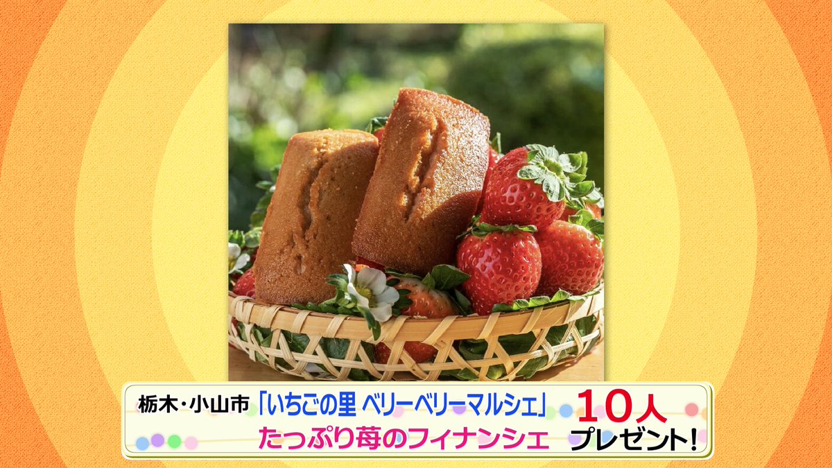 ヒルナンデス！視聴者プレゼント／ 【たっぷり苺のフィナンシェ】 を10 