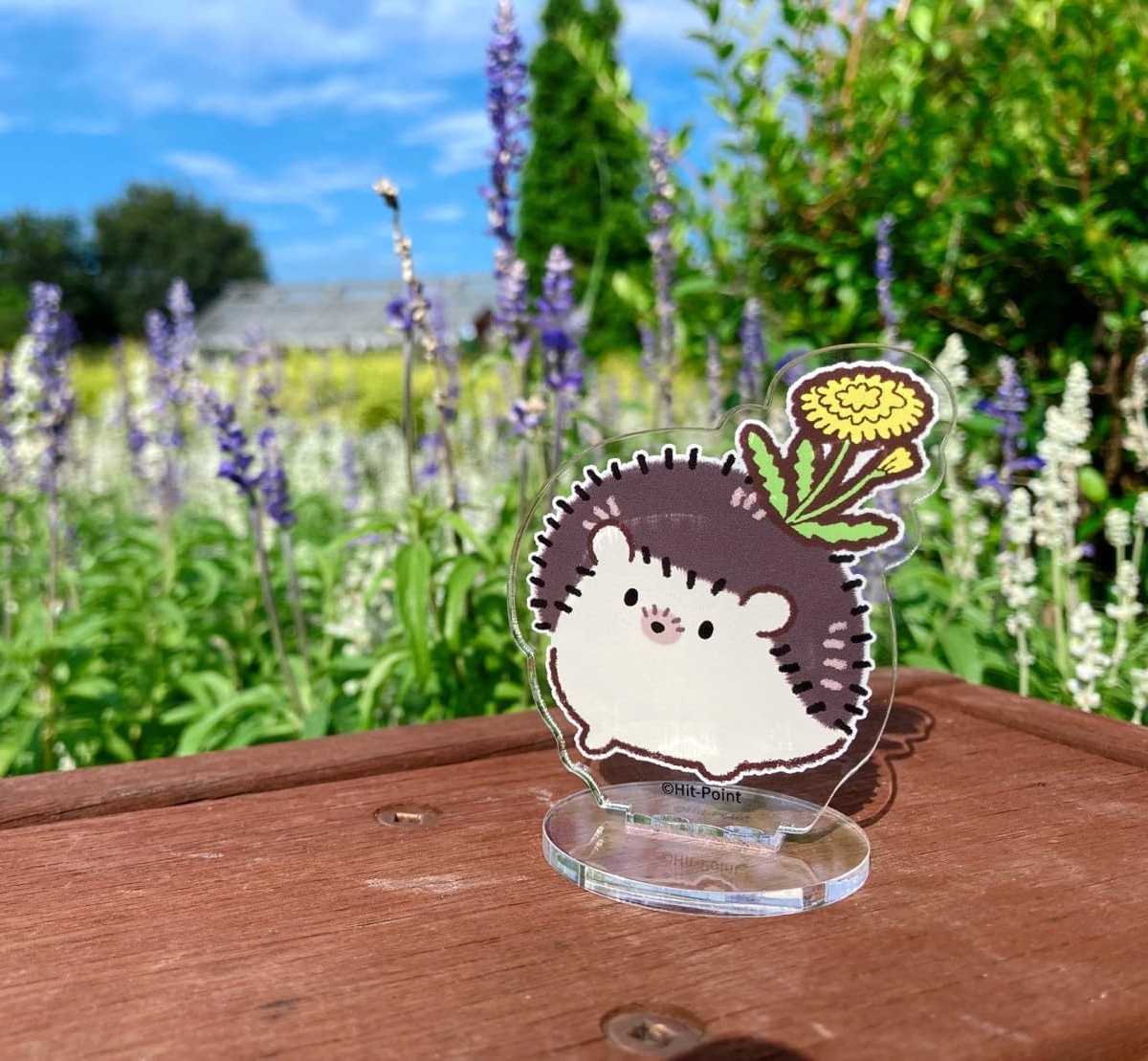 あつめラボ(Hit-Point OfficialShop) tweet media