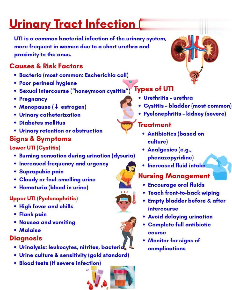 UTI in women #