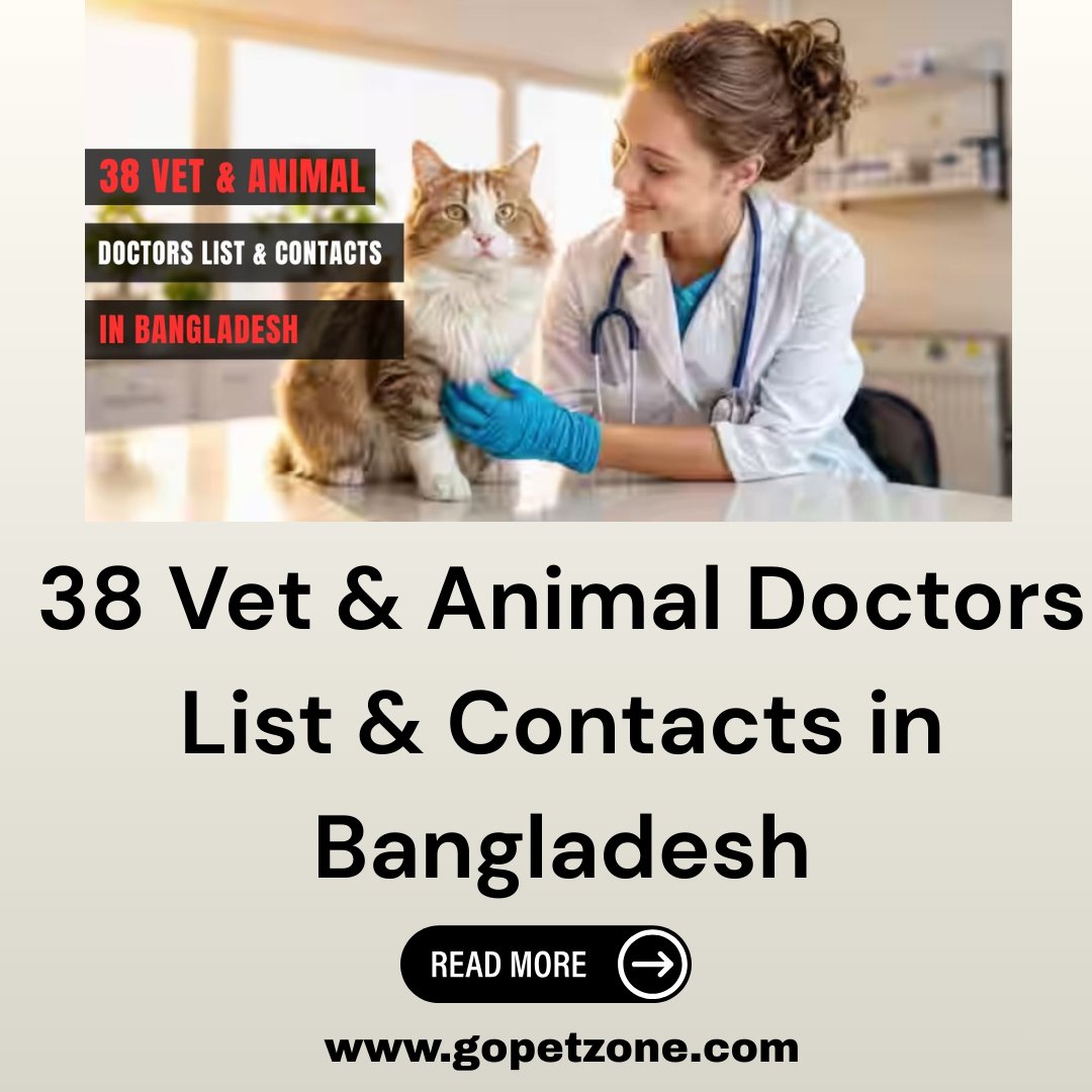 GoPetsZone's tweet photo. 38 Vet &amp; Animal Doctors List &amp; Contacts in Bangladesh
Looking for trusted veterinary doctors in Bangladesh? 🐶🐱
Read More: https://t.co/xUW5wxi7f4

#VetDoctorsBangladesh
#VeterinaryCare
#AnimalDoctors
#PetCareBangladesh https://t.co/ru2wBqdnM9