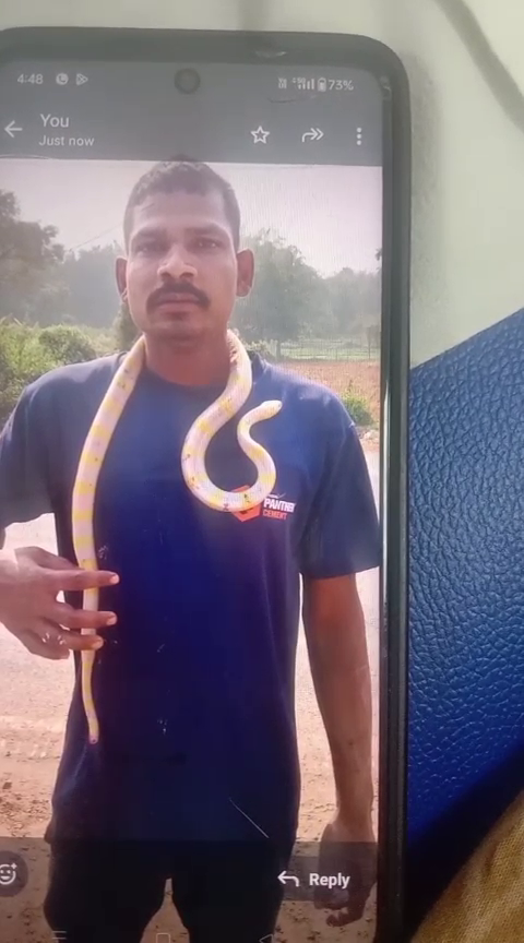 otvkhabar's tweet photo. #ମହଙ୍ଗା_ପଡ଼ିଲା_ସାପ_ସଉକ
-ଭଦ୍ରକ: ବନ୍ତରେ ବେକରେ ସାପ ଧରି ବୁଲିବା ମହଙ୍ଗା ପଡ଼ିଲା
-ଯୁବକଙ୍କ ଡାହାଣ ହାତକୁ କାମୁଡି ଦେଲା ବିରଳ ରଙ୍ଗୀନ ସାପ
-ଗୁରୁତର ଅବସ୍ଥାରେ ଭଦ୍ରକ ଜିଲ୍ଲା ମୁଖ୍ୟ ଚିକିତ୍ସାଳୟରେ ଭର୍ତ୍ତି
#SnakeBite #Bhadrak #OdishaNews #VenomousSnake #RareSnake #Hospitalized #SnakeIncident #WildlifeSafety #Odisha #OTV