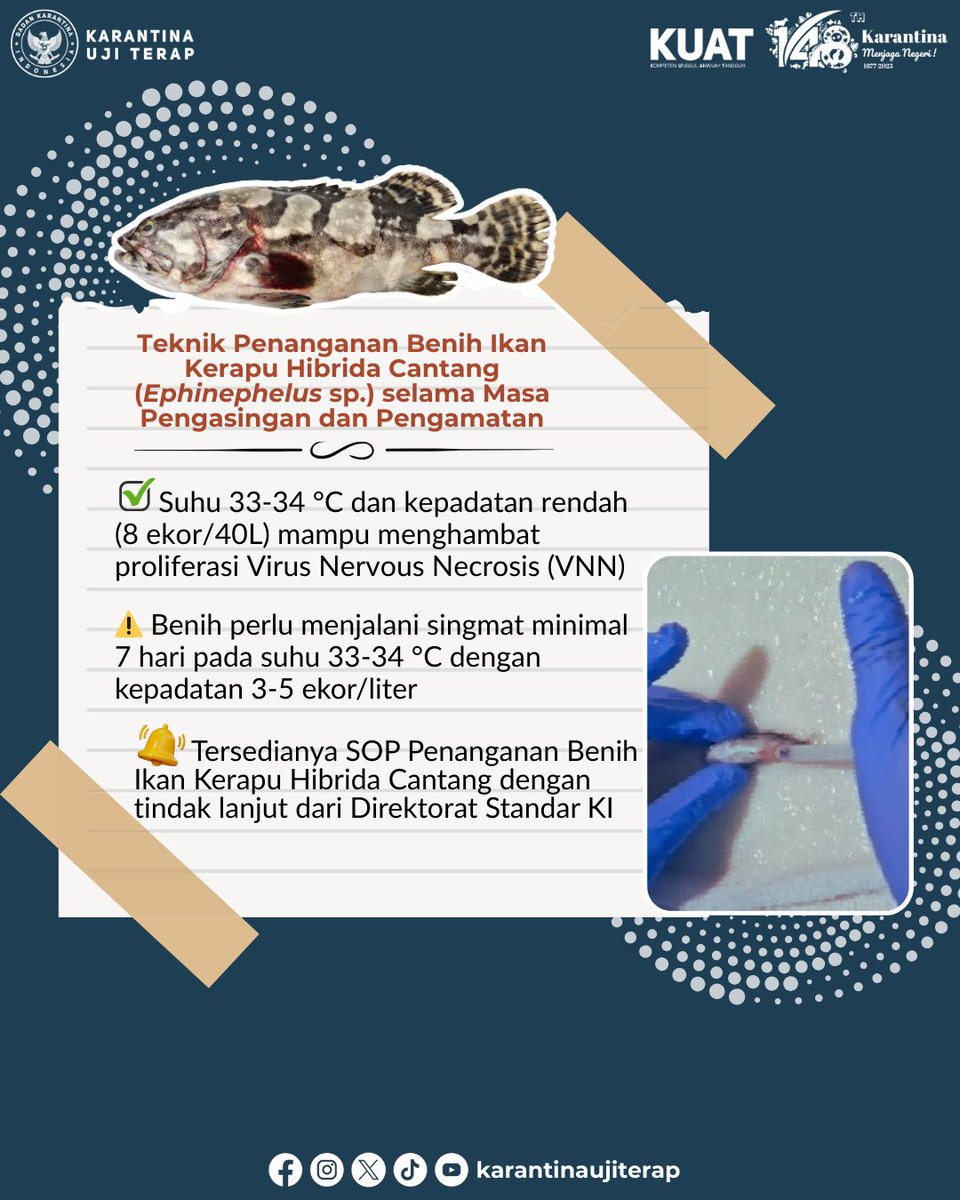 [KILAS BALIK] Hasil Uji Terap Karantina Ikan Tahun 2025

​Halo SobatQ!
Sebagai upaya terus meningkatkan standar perlindungan sumber daya hayati ikan, <a href="/BarantinRI/">Badan Karantina Indonesia</a> melalui <a href="/buttmkhit/">Karantina Uji Terap</a> telah merampungkan 5 judul uji terap karantina ikan.

​Bagaimana pendapat SobatQ?