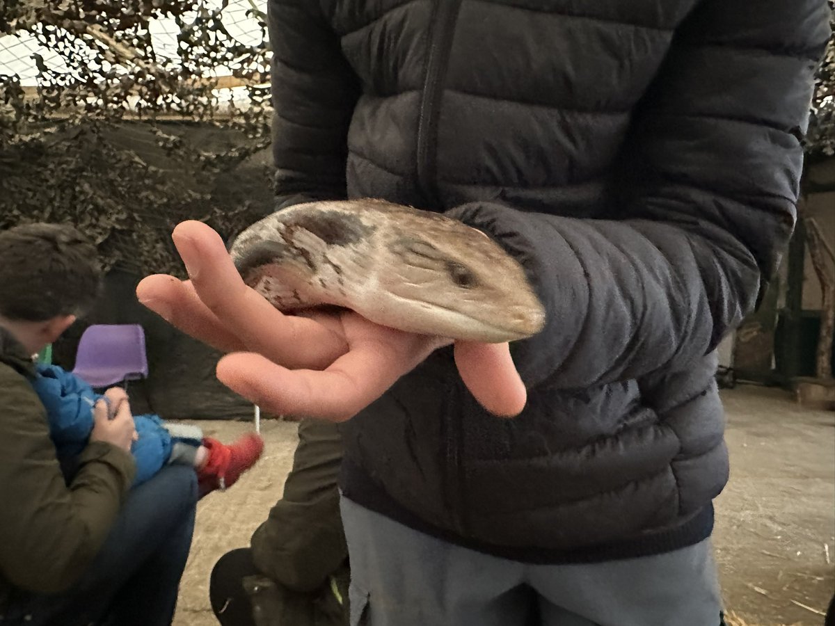 ChildmindingW3's tweet photo. Trip to Hounslow farm https://t.co/s4vHGr6y2x