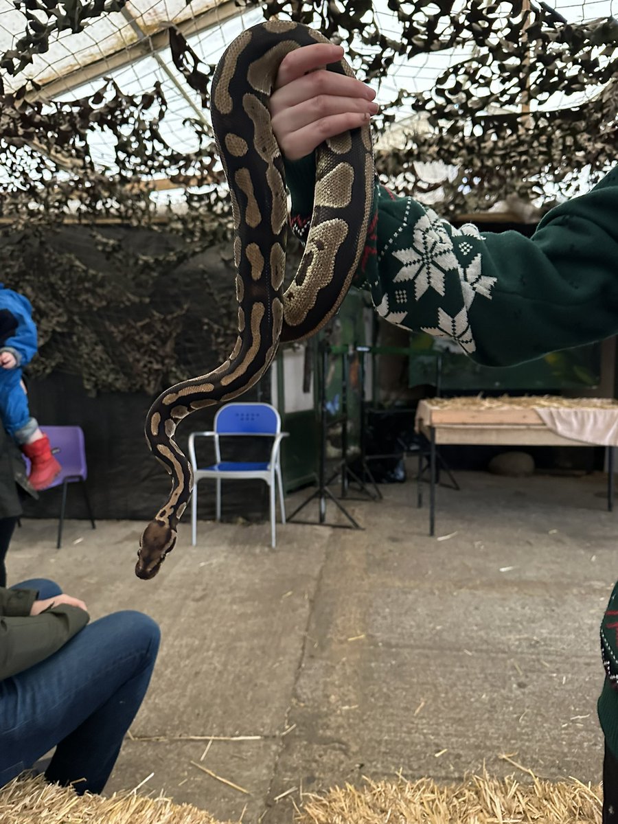 ChildmindingW3's tweet photo. Trip to Hounslow farm https://t.co/s4vHGr6y2x