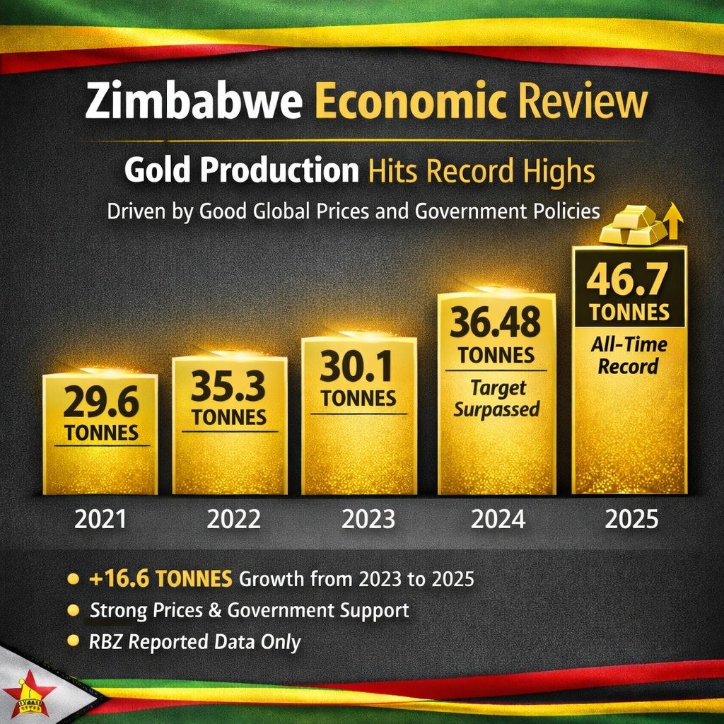 Zimbabwe Economic Review tweet media