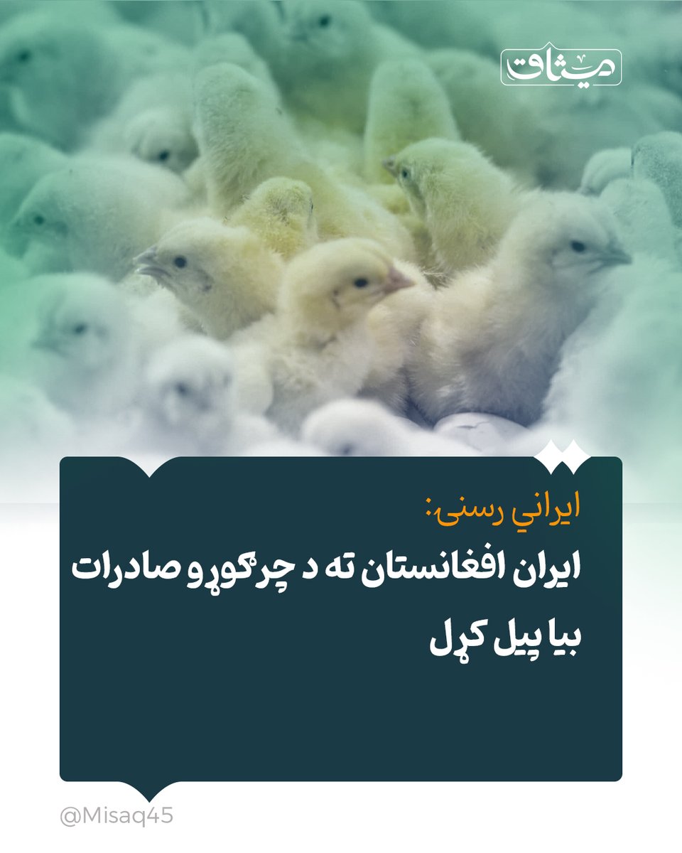 Misaq45's tweet image. ایران افغانستان ته د چرګوړو صادرات بیا پیل کړل.

ایراني رسنیو راپور ورکړی، چې د تایباد ولسوالۍ مسؤولینو افغانستان ته د یو ورځنیو غوښینو چرګوړو صادرات د دوغارون سرحدي دروازې له لارې بېرته پيل کړي دي.

د یادو مسؤولینو په وینا، د رسمي جواز له مخې له ۲۵۰ زرو تر ۳۰۰ زرو پورې یو ورځني…