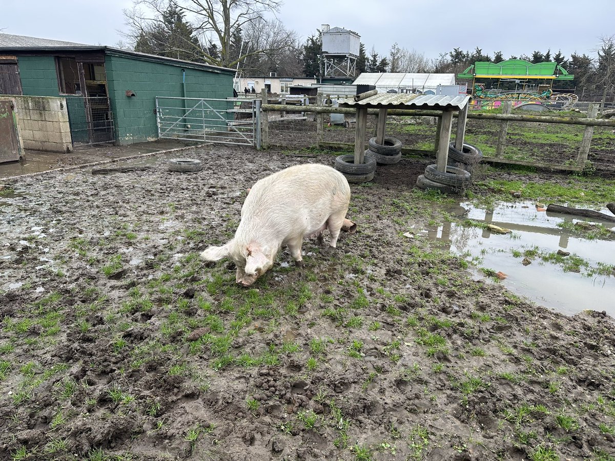 ChildmindingW3's tweet photo. Trip to the farm https://t.co/62Mkg2sZ2r