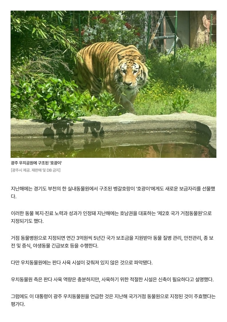 이재명 대통령의 ‘판다 광주행’ , 국토 균형발전과 생명 존중이 담긴 멋진 외교적 제안입니다.

판다 전용 시설은 아직 부족하지만, 정치가 바로 그걸 해결해야죠. 판다들이 행복하게 지낼 ‘최첨단 친환경 판다하우스’, 광주에 꼭 만들겠습니다.

어서 와, 판다야. 빛고을 광주에서 만나자!