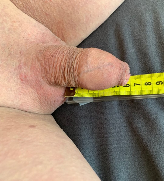 maximale Größe - erreicht im Sommer