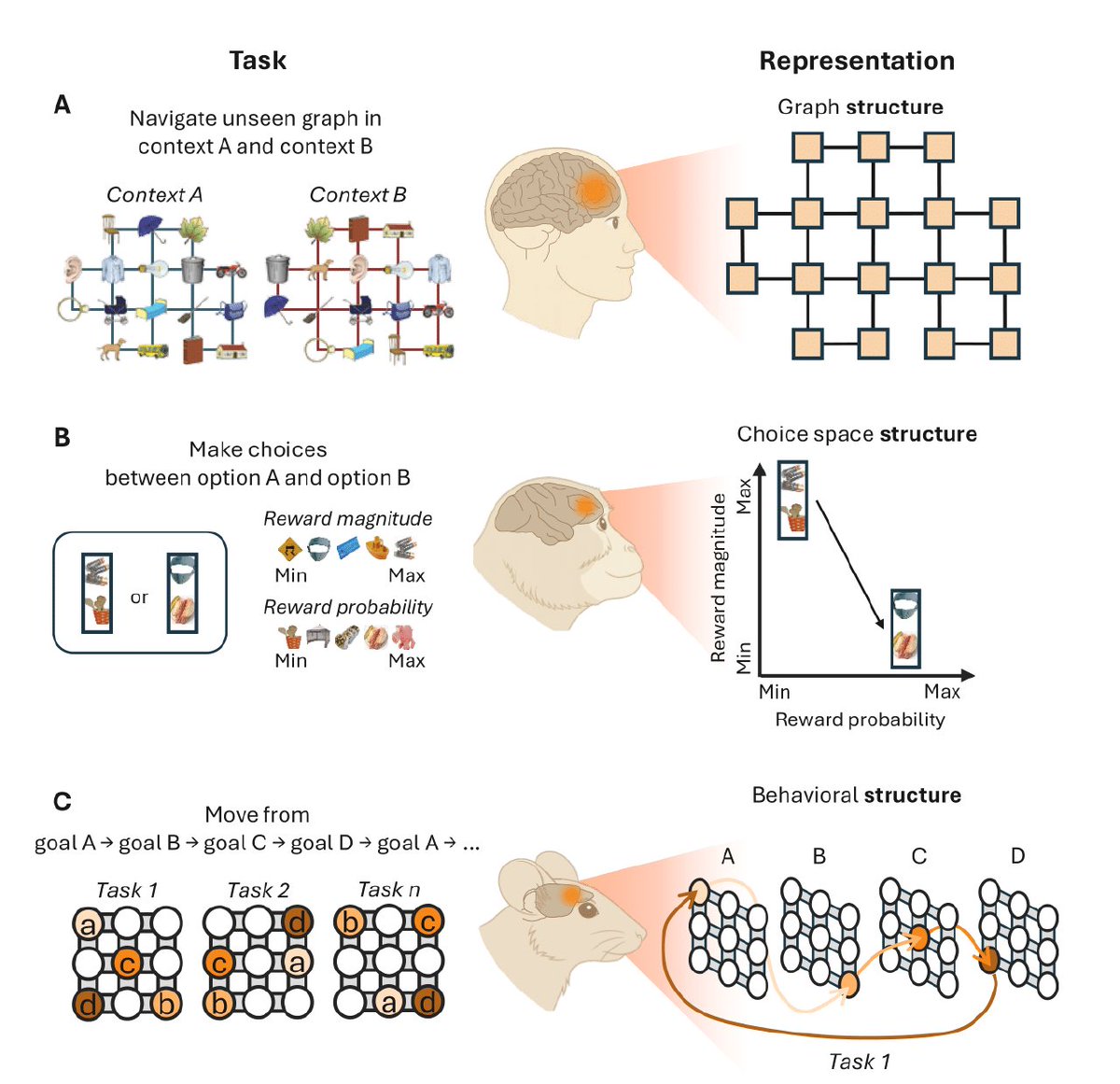 Cognitive maps in the prefrontal cortex
osf.io/preprints/psya…