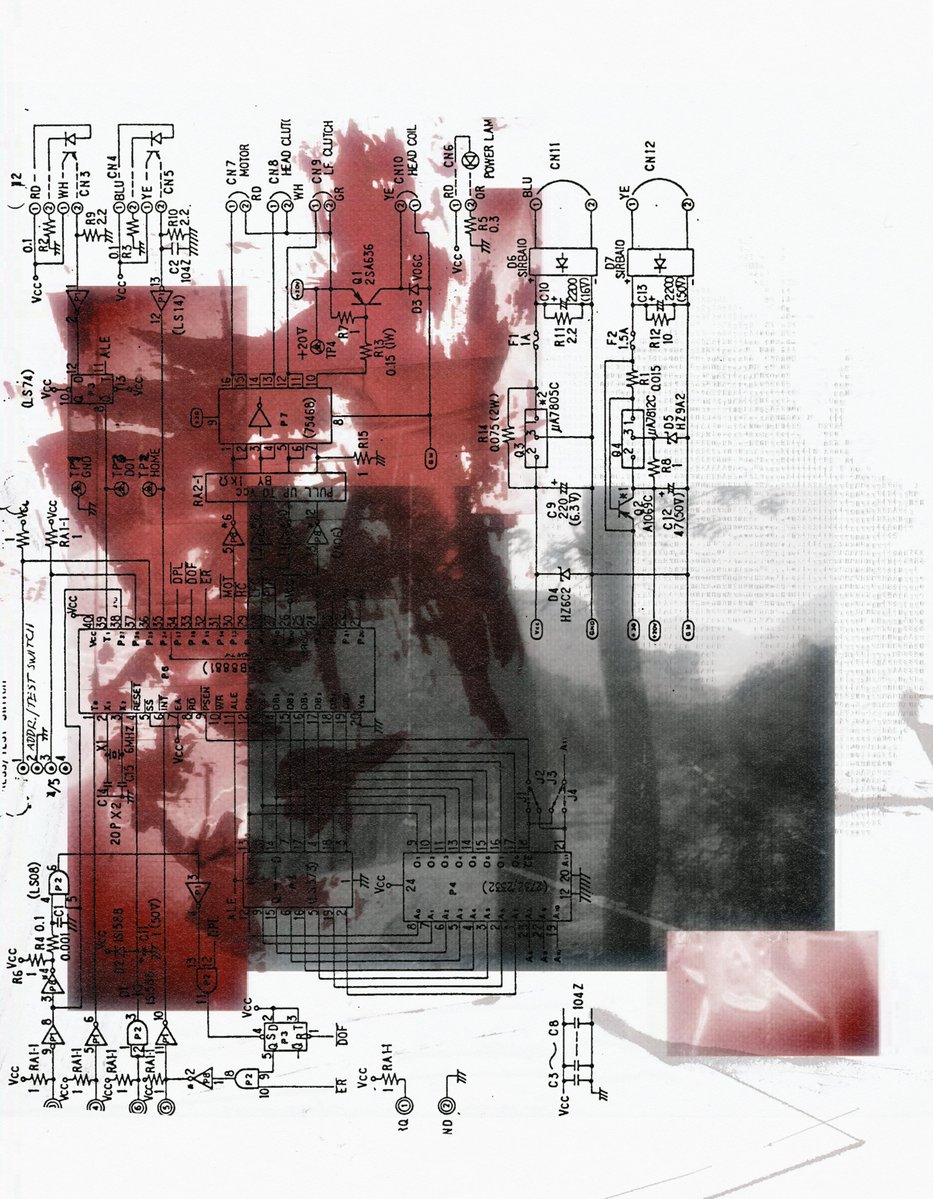 cherry✟ tweet media