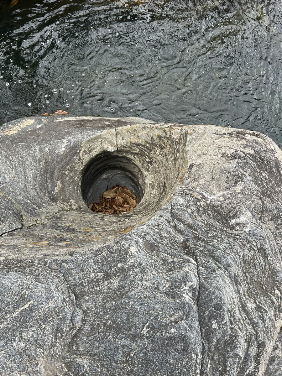 伊藤翼 tweet media