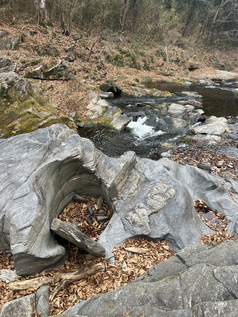 伊藤翼 tweet media