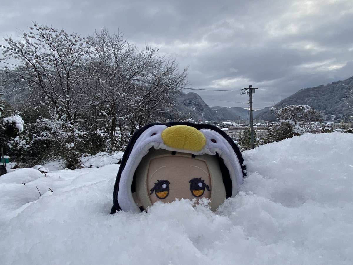 요즘 가쿠마스 누이 사진 모으는 게 취미