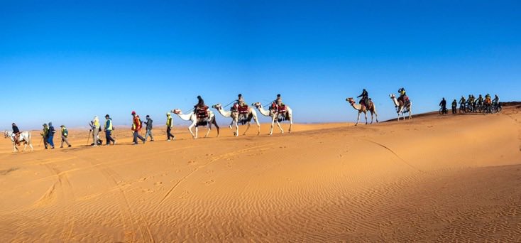 د. صالح بن سعد الأنصاري tweet media