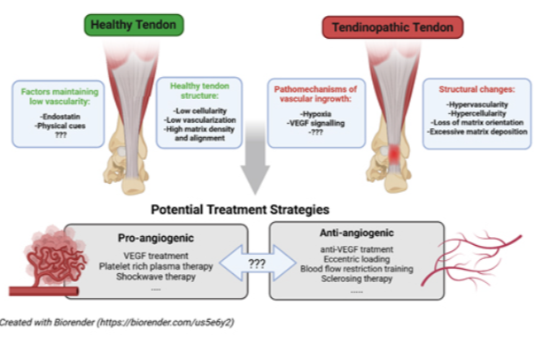 eCM Journal tweet media