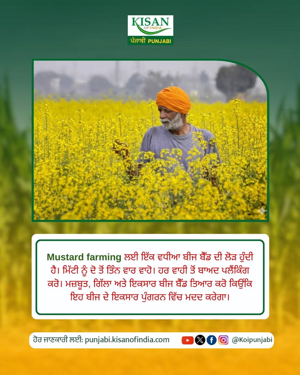 KOIPunjabi's tweet photo. ਕਿਸਾਨ ਦੀ ਮੇਹਨਤ ਤੋਂ ਬਣਦਾ ਪੀਲਾ ਸੋਨਾ

#kisanofindia #kisanofindiapunjabi #koipunjabi #mustardfarming #sarson #mustardflowers #punjabfarming https://t.co/NYNzDmr93L