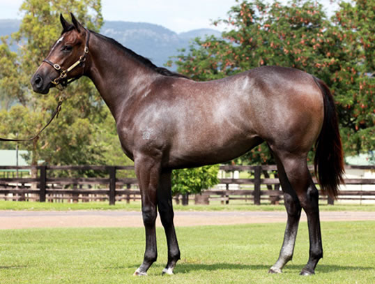 Tara Madgwick tweet media