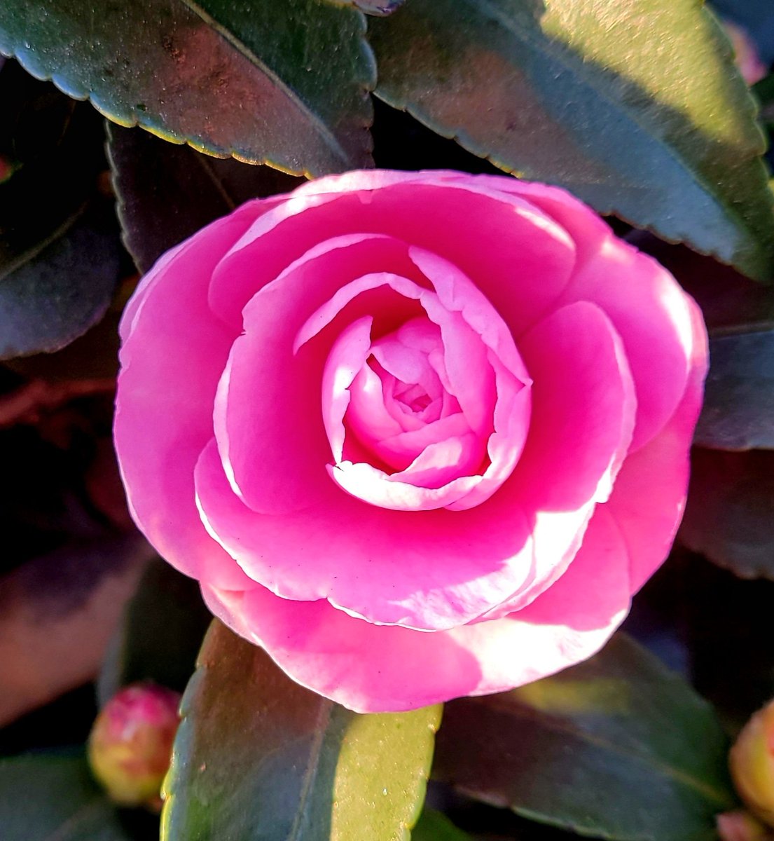 ちゅん (@aebBN6iwx957557) / Posts / X