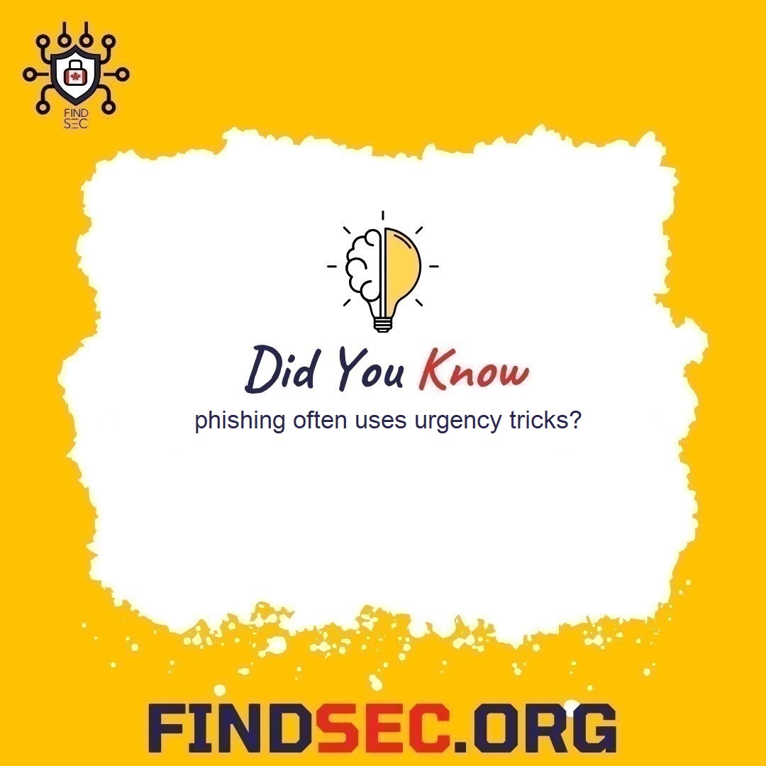 FindSec 🇨🇦 tweet media