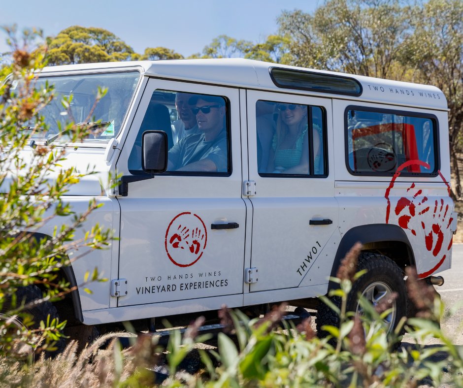 Looking for a fun way to taste our wines on your trip to the Barossa this summer?
Join our team for a Vineyard Experience and discover where the Shiraz in your glass truly begins. 
Learn more and book your tour: bit.ly/THW-VE