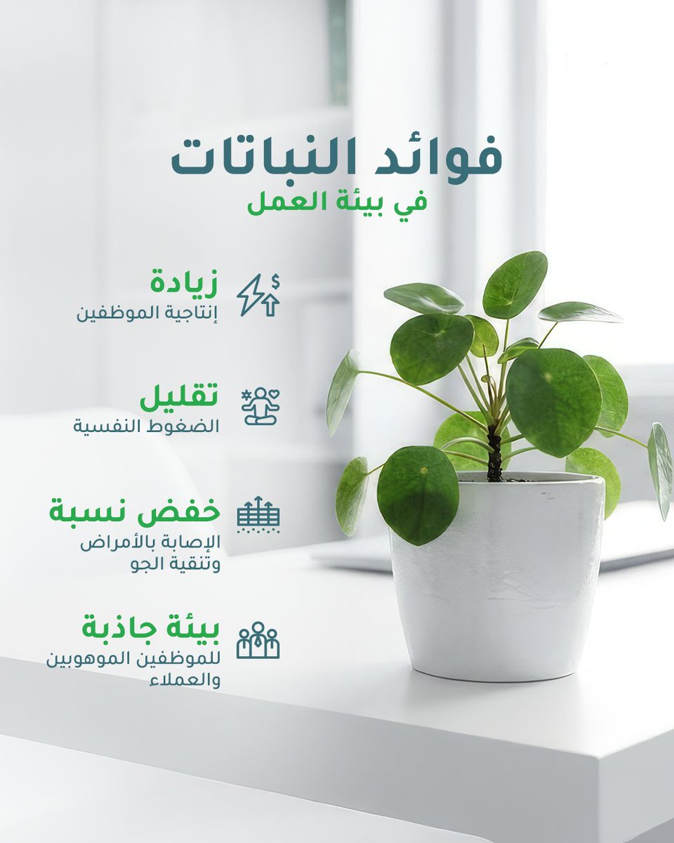 نباتاتي tweet media