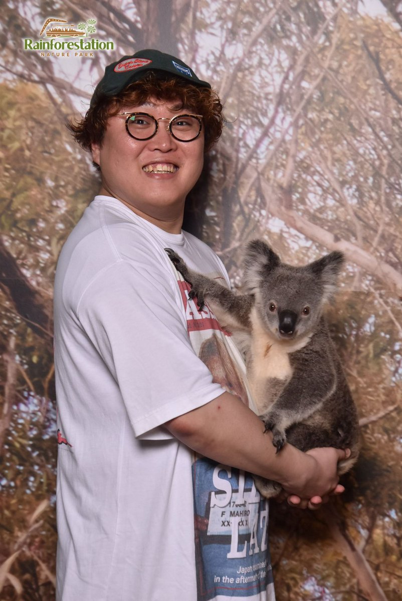 昨日はケアンズ
今日はキュランダのコアラ🐨