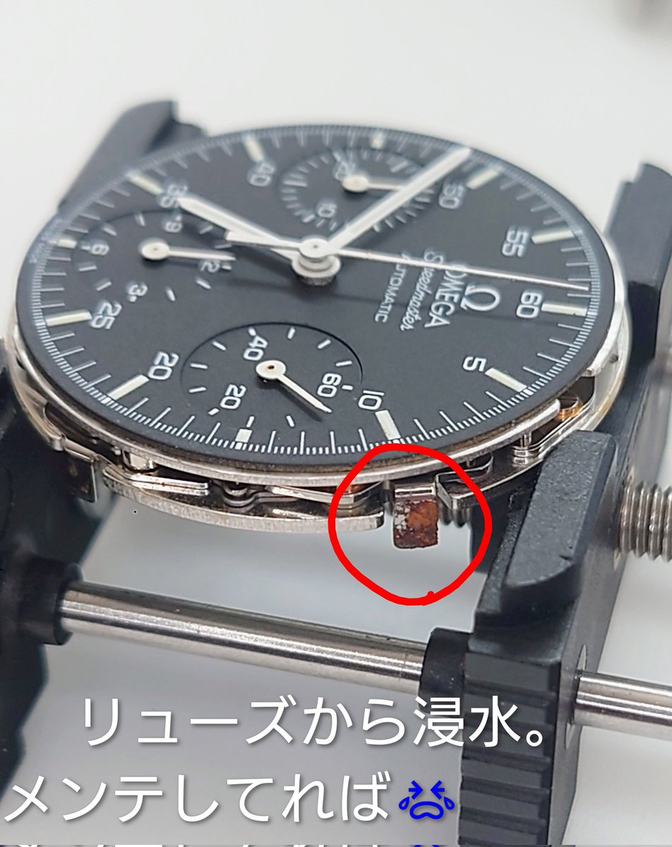 swisstimeworks's tweet photo. OMG〜 https://t.co/WndZvsYezg