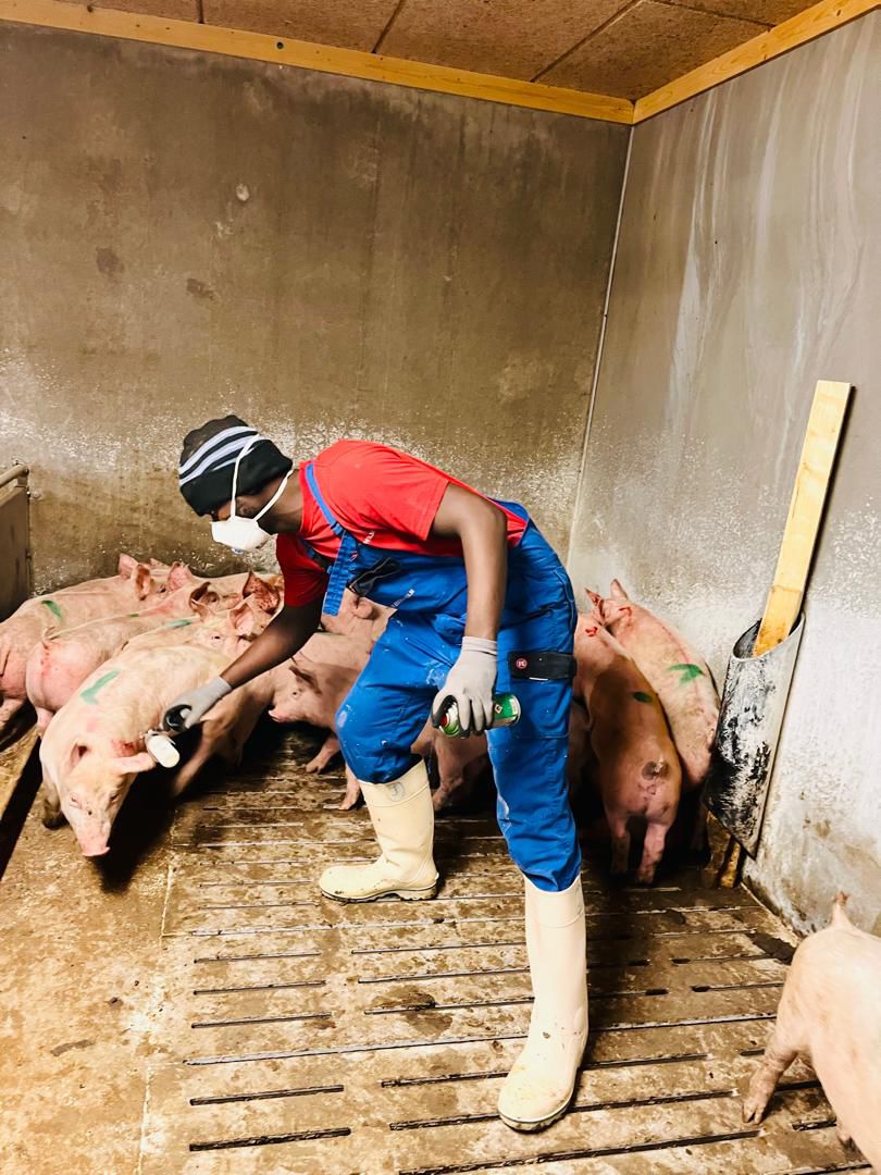 work_quest1's tweet photo. Our Paid-Internship Program places you directly in the field, building skills that matter.
Start your journey with WorkQuest Agency today !! 
#PaidInternship #WorkBasedLearning #WorkQuestAgency #Agriculture https://t.co/BctyzdIDcP